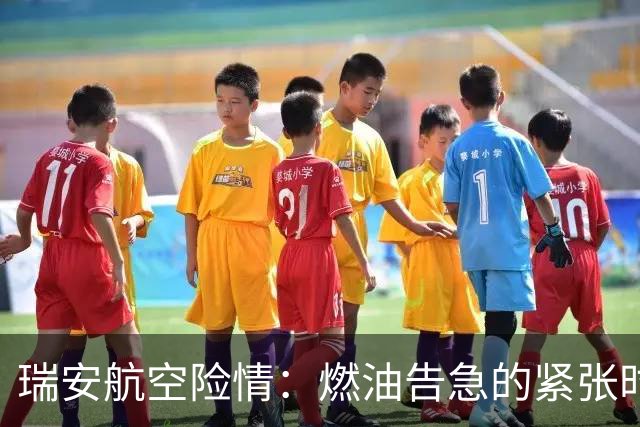 瑞安航空险情：燃油告急的紧张时刻